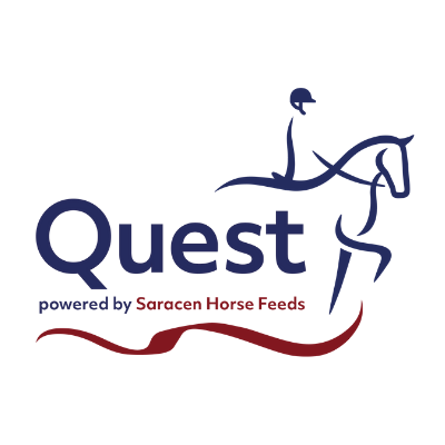TeamQuestBD's profile picture. 