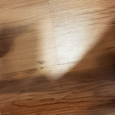 GencerArdaa's profile picture. 