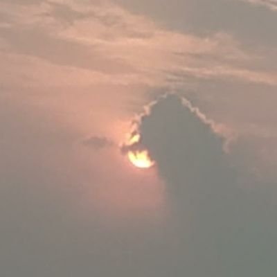 pyadav8000's profile picture.  I know the voices in my head aren’t real but sometimes their ideas are just absolutely awesome! 