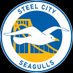 Steel(e) City Seagulls (@SCBHAFC) Twitter profile photo