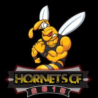 Hornets CF (@hornetscf) 's Twitter Profile