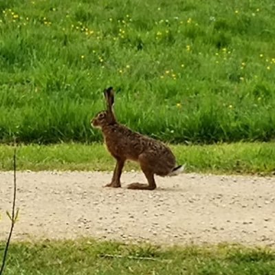 Ruralite Chasse Nature