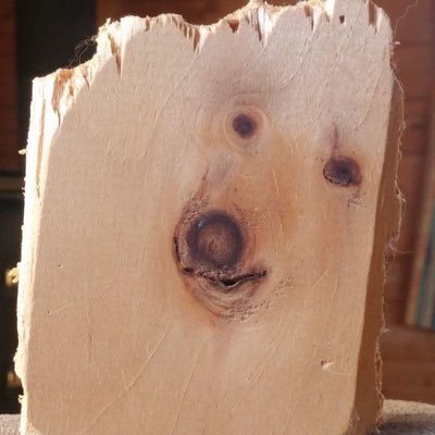 it_mmy's profile picture. 아무 말이나 막함/주로 일상!/성인이에용