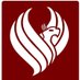 Phoenix Control Systems Ltd. (@phoenixrobotic) Twitter profile photo Phoenix Control Systems Ltd. (@phoenixrobotic) Twitter profile photo