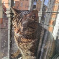 Jesús Fernández (@kechu) 's Twitter Profile