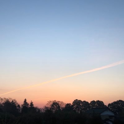 Nij_Herb's profile picture. 