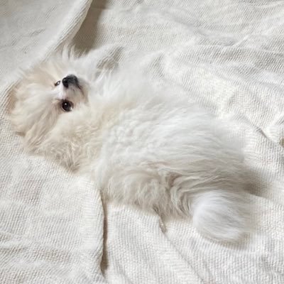 Whathalie's profile picture. 