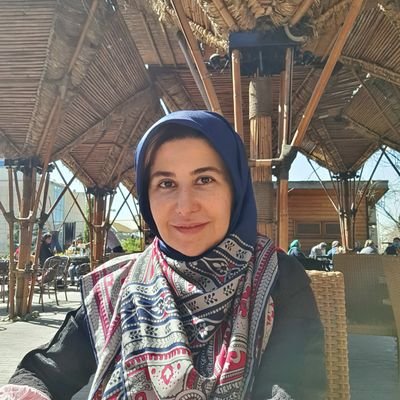 استاد دانشگاه، وکیل پایه یک دادگستری، فعال حوزه IT و جرایم سایبری