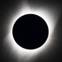 cptsdtherapy (@cptsdtherapy) 's Twitter Profile