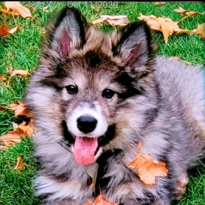 Kimberl96806966's profile picture. 