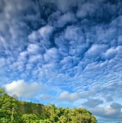 cilokmaribuan's profile picture. Just for fun 😉