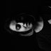 Leen Machine (@singh_ishleen) Twitter profile photo Leen Machine (@singh_ishleen) Twitter profile photo