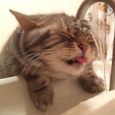 _mr_ked_'s profile picture. 手掌多汗症（レベル2）→ETS手術を受けて約10年 会社員をしながら代償性発汗と日々格闘中^ ^ 同じく苦しんでいる仲間と繋がったり情報の共有をするアカウント