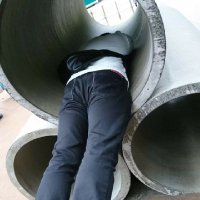 F (@fortune_tail_ip) 's Twitter Profile