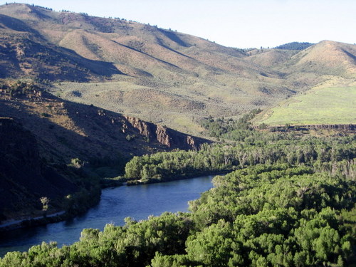 sstucky's profile picture. 