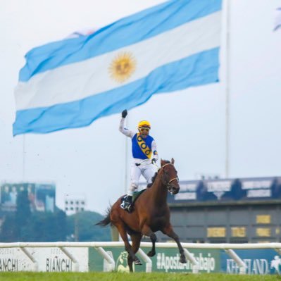 jockey profesional argentino 🏇clásicos grupo 1 :52🏆 carreras ganadas: 2227🥇 clásicos ganados:218🥇🏆