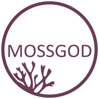 The One and Only MOSSGOD. Visit my website to get Authentic Chondrus Crispus and Seamoss Infused Beauty Products #beymoss #mossgod