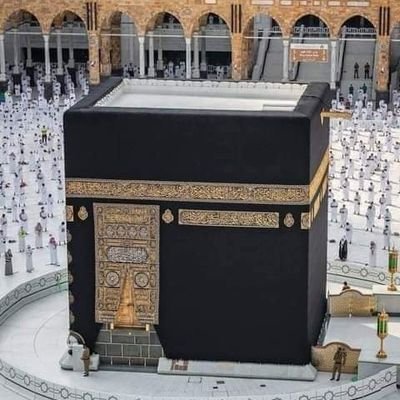 bensadifarid12's profile picture. 