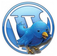 Talking about Wordpress plugins. How to install them and how to maximize profits from it.