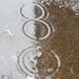 Puddles KPSS (@puddles_8) Twitter profile photo Puddles KPSS (@puddles_8) Twitter profile photo