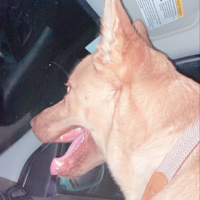 abigailperalta_'s profile picture. 