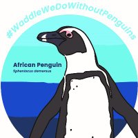 African Penguin SAFE (@safe_penguin) 's Twitter Profile