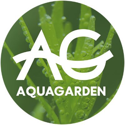 Fish-keeping, planted tanks, aquascaping, nano reefing, coral reefs YouTube channel ▶ Aquariums and aquaristics 🐠🐟🐡