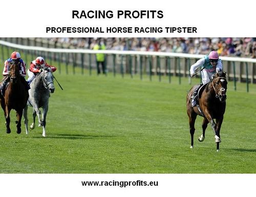 RacingProfitseu's profile picture. 