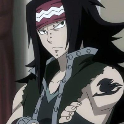 I'm gajeel iron dragon slayer s class wizard pal panther lily wife: @levy_redfox944 daughters @iron_miacute94 @iron_elliscute9 son: @iron__beast