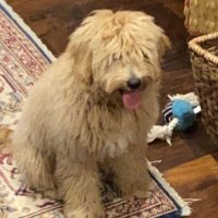Gage W. Lawdermilk (@glawdermilk) 's Twitter Profile