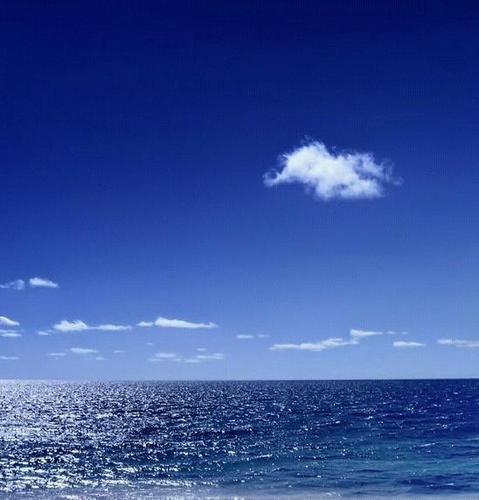 openfuture7's profile picture. 