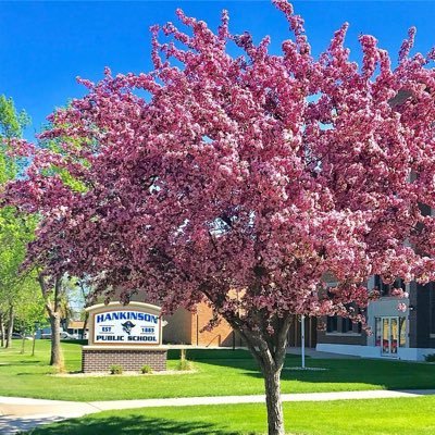 A K-12 school of about 260 students located in Hankinson a small town in the southeast corner of North Dakota.