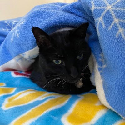 yukisouyunaru3's profile picture. 