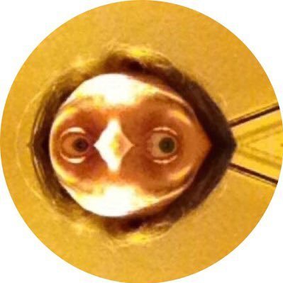 Call me Jim. Tofu Eating Wokerati (junior member). Will make air wobble pleasingly in exchange for shiny things. Has ADHD. Probably likes you. He/him