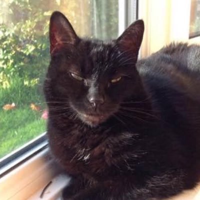 JenFullick's profile picture. CHURCHILL was a British hero
#StarmerNotMyPM#Reform our only hope
 # ILLEGAL IMMIGRATION not IRREGULAR immigration🇬🇧🏴󠁧󠁢󠁥󠁮󠁧󠁿🇦🇺🇺🇦