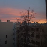 kālisarkartupeli123 (@kalisarkartonu1) 's Twitter Profile