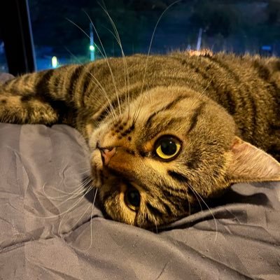 Aeseyo's profile picture. Love BKPP❤️💙