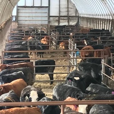 Southern Iowa farm boy fighting for future generations of independent cattle producers.  Thoughts and opinions are my own and represent no one else.