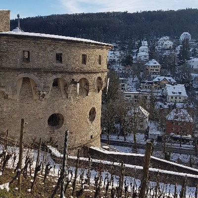 physguy's profile picture. a physicist guy, full time procrastinator and non-consumptive materialistic