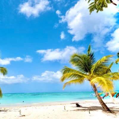 islandbuddyltd's profile picture. トリニダード・トバゴ拠点のカリブ海専門の旅行・撮影コーディネート会社です。