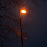 . (@al_o31) Twitter profile photo