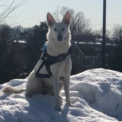 soldierPoorPeo1's profile picture. 