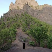Alexander (@cfalex2) 's Twitter Profile