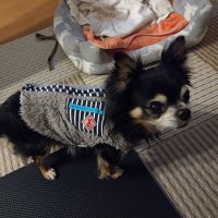 kakusen yoshioka (@kakuseny) 's Twitter Profile