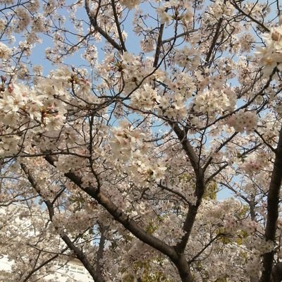 大阪本当にやばいです。
デマを言う人たちにデマって言われたのがきっかけでツイッターにはまってます。政党なんてみんなお仲間、メディアもテレビも新聞も、
信じてません。

マナーの無い言い方の方、時間が勿体ないんでブロックです。