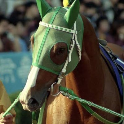 TDog55555's profile picture. 朕