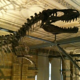 Tom_Borrough's profile picture. 