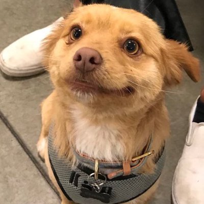 EcoUmbrella's profile picture. 