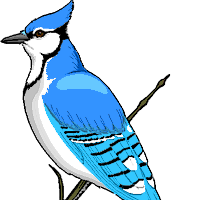 Bluejaytempest's profile picture. Cuddly grammar nazi. According to daughter, going senile, but in my opinion, they're just intellectual overloads.