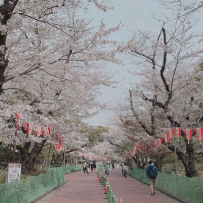 93年組/広島/2016.3.20NHKのど自慢出場。合格もらいました！！/ 気軽にフォローください！無言でフォローすることが多々あります。笑 オフ会とかあったら、是非お声掛けを。Youtubeで弾き語りの動画も不定期で上げてます↓↓↓